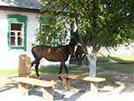images/slaidy/18.jpg