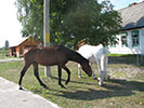 images/slaidy/6.jpg